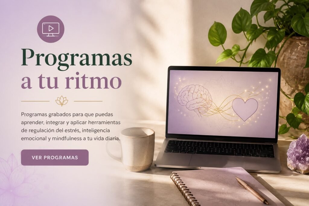 Home programas online